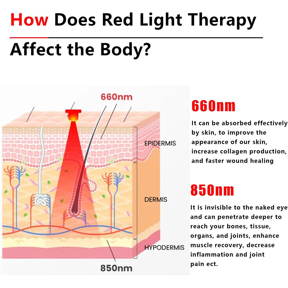 Ceinture à 60 LED rouge et pro - Galvanic Skin Sensor avis et prix